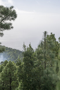 山林景致绿意盎然的自然