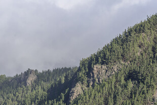 山峦葱郁的自然美景