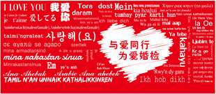 我爱你 各国语言