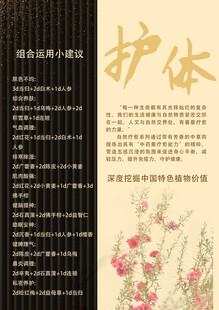 中式花卉护体主题宣传页