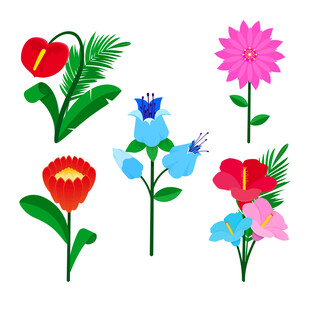 多彩花卉插画