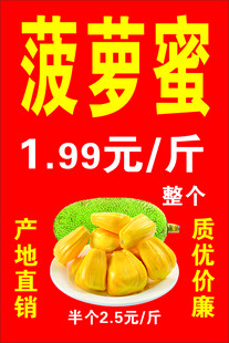 菠萝蜜