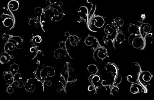花纹