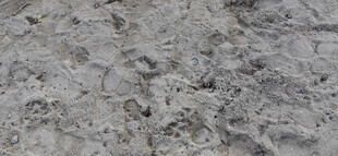 灰色粗糙砂土地面纹理