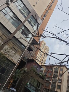 城市中的高层居民楼景观