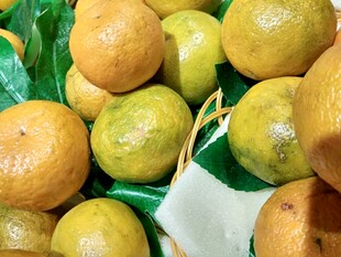 新鲜柑橘堆叠展示