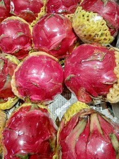 新鲜紫皮火龙果堆叠