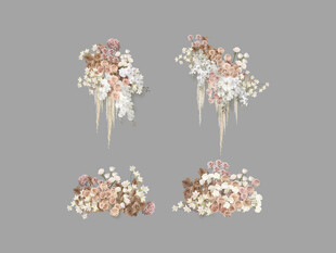 香槟花