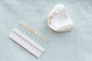 牙齿比色板与牙齿模型