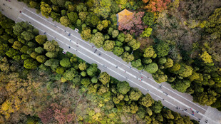 航拍南京明孝陵秋色