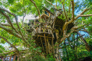 泰国清迈PAI县拜县树屋