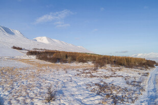 冬日雪域旷野风景