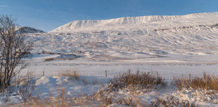 冬日雪景中的静谧湖岸