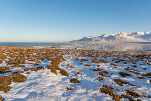 雪覆荒原与远处雪山景观