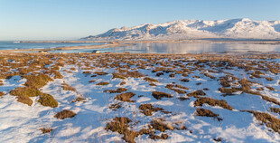 雪山下的荒野景观