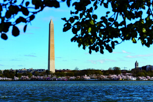 华盛顿纪念碑湖畔景致