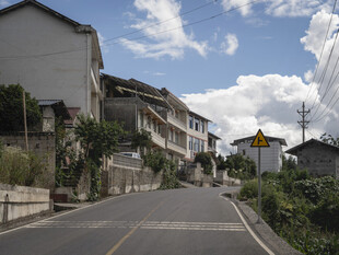 乡村公路旁的宁静民居