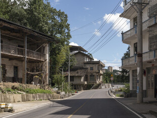 宁静乡村街道景象