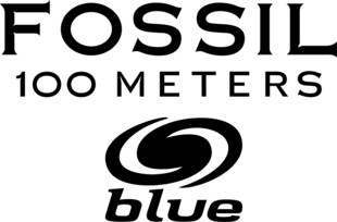 Fossil标识展示