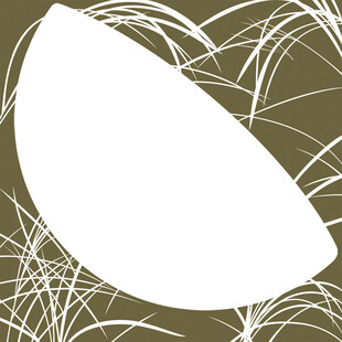 抽象白色叶片与线条图案