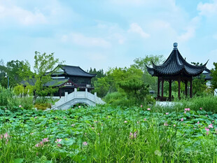 公园