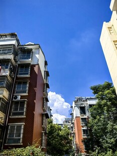 高层住宅与蓝天绿树景观