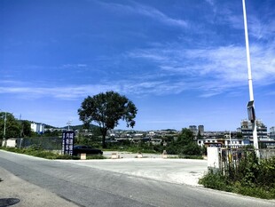 乡村道路旁的开阔景致