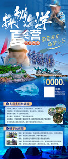 夏令营海洋研学海报