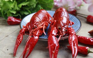 美味小龙虾摆放在盘中