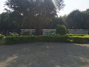 户外绿植环绕的开阔场地