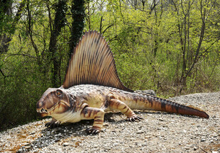 森林中造型独特的恐龙模型