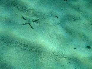 水下神秘飞机残骸