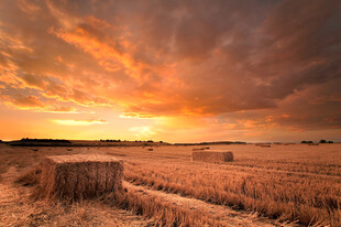 夕阳下的田野麦垛美景