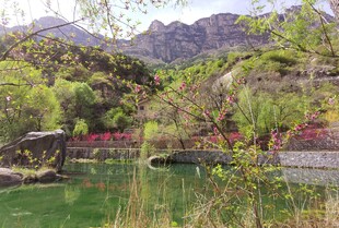 山间绿水畔的春日美景
