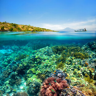 美丽海底珊瑚与清澈海水