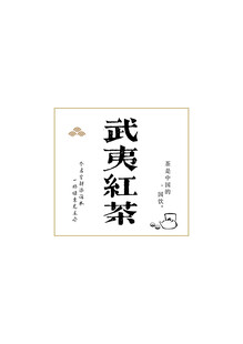 武夷红茶包装设计展示