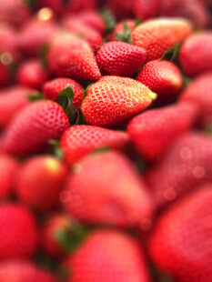 新鲜诱人的草莓大集合