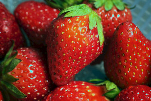 新鲜诱人的草莓果实