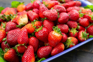 新鲜诱人的草莓大集合