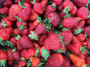 新鲜饱满的草莓堆叠