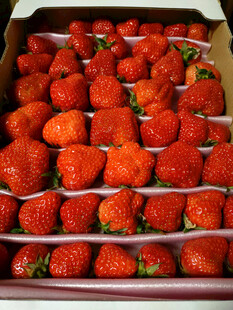 新鲜饱满的盒装草莓