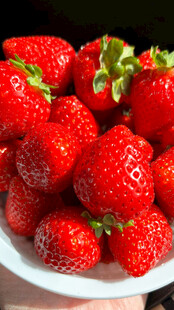 新鲜草莓盛于白盘