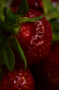 新鲜诱人的红草莓