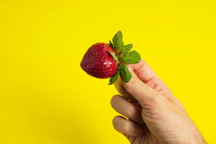 手托鲜红草莓于黄背景