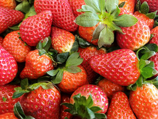 新鲜饱满的草莓堆叠