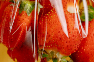 包装好的新鲜草莓