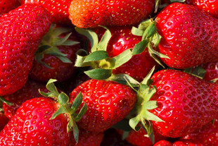 新鲜诱人的成熟草莓