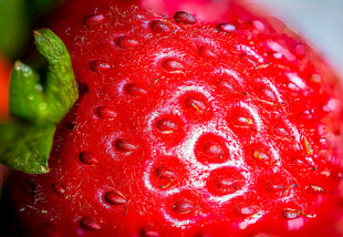 鲜红多汁的诱人草莓