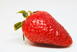 鲜红饱满的单颗草莓