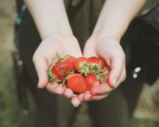 手中娇艳草莓果实饱满